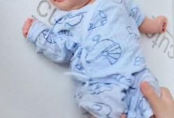 操屁视频,操屁视频背后的文化现象与反思